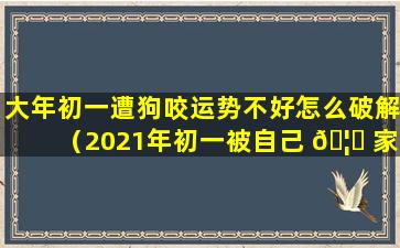 大年初一遭狗咬运势不好怎么破解（2021年初一被自己 🦆 家狗咬了）